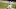 joe mauer joe mauer