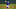 Toronto Blue Jays Taijuan Walker Toronto Blue Jays Taijuan Walker