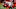Atlanta Falcons Atlanta Falcons