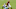 dallas cowboys dallas cowboys