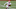 2021 NFL Draft 2021 NFL Draft