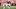 Zack Baun, Wisconsin Badgers Zack Baun, Wisconsin Badgers