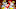 Kansas City Chiefs linebacker Dadi Nicolas Kansas City Chiefs linebacker Dadi Nicolas