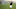Phil Mickelson U.S. Open 2019 Pebble Beach Bold Predictions Phil Mickelson U.S. Open 2019 Pebble Beach Bold Predictions
