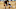 New Orleans Pelicans, Lonzo Ball New Orleans Pelicans, Lonzo Ball