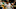 Milwaukee Bucks: Giannis Antetokounmpo Milwaukee Bucks: Giannis Antetokounmpo
