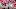 Treylon Burks, 2022 NFL mock draft, 2022 NFL Draft