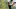 British Open Betting Odds Paul Casey British Open Betting Odds Paul Casey