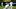 Seattle Mariners Seattle Mariners