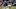 Green Bay Packers Green Bay Packers