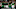Boston Celtics Boston Celtics