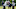 Cyrus Jones Patriots OTAs Cyrus Jones Patriots OTAs