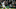 GLASGOW, SCOTLAND – OCTOBER 31: Callum McGregor scores for Celtic during the Champions League group B match between Celtic FC and Bayern Muenchen at Celtic Park on October 31, 2017 in Glasgow, Scotland. (Photo by Steve Welsh/Getty Images) GLASGOW, SCOTLAND – OCTOBER 31: Callum McGregor scores for Celtic during the Champions League group B match between Celtic FC and Bayern Muenchen at Celtic Park on October 31, 2017 in Glasgow, Scotland. (Photo by Steve Welsh/Getty Images)