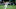 FIFA 21, MLS