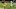 NFL DFS NFL DFS