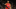 Portland Trail Blazers Portland Trail Blazers