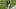 Chicago Bears Chicago Bears
