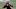 Matt Ryan, Atlanta Falcons, 2021 NFL Draft Matt Ryan, Atlanta Falcons, 2021 NFL Draft