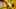 DORTMUND, GERMANY – JUNE 07: Thomas Delaney poses for a photo as he signs for Borussia Dortmund on June 7, 2018 in Dortmund, Germany. (Photo by Alexandre Simoes/Borussia Dortmund/Getty Images) DORTMUND, GERMANY – JUNE 07: Thomas Delaney poses for a photo as he signs for Borussia Dortmund on June 7, 2018 in Dortmund, Germany. (Photo by Alexandre Simoes/Borussia Dortmund/Getty Images)