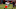 college football college football