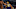 Minnesota Timberwolves, Myles Turner Minnesota Timberwolves, Myles Turner