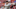 Frank Victores-USA TODAY Sports Frank Victores-USA TODAY Sports