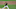 DraftKings DraftKings