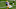 Philadelphia Eagles Terrace Marshall Jr. Philadelphia Eagles Terrace Marshall Jr.