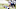 dallas cowboys dallas cowboys