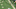 9 9