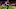 DENVER, CO – NOVEMBER 19: Wide receiver A.J. Green #18 of the Cincinnati Bengals has a fourth quarters touchdown catch under coverage by free safety Bradley Roby #29 of the Denver Broncos at Sports Authority Field at Mile High on November 19, 2017 in Denver, Colorado. (Photo by Dustin Bradford/Getty Images) DENVER, CO – NOVEMBER 19: Wide receiver A.J. Green #18 of the Cincinnati Bengals has a fourth quarters touchdown catch under coverage by free safety Bradley Roby #29 of the Denver Broncos at Sports Authority Field at Mile High on November 19, 2017 in Denver, Colorado. (Photo by Dustin Bradford/Getty Images)