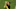 Jadon Sancho led Borussia Dortmund to the DFB Pokal title. (Photo by Maja Hitij/Getty Images) Jadon Sancho led Borussia Dortmund to the DFB Pokal title. (Photo by Maja Hitij/Getty Images)
