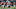 New England Patriots vs Atlanta Falcons: 6 players to watch for New England Patriots vs Atlanta Falcons: 6 players to watch for
