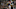 Brandon Spikes Brandon Spikes