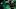 singed singed