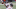 CINCINNATI, OHIO – JANUARY 03: Lamar Jackson #8 of the Baltimore Ravens looks to throw the ball against the Cincinnati Bengals at Paul Brown Stadium on January 03, 2021, in Cincinnati, Ohio. (Photo by Andy Lyons/Getty Images) CINCINNATI, OHIO – JANUARY 03: Lamar Jackson #8 of the Baltimore Ravens looks to throw the ball against the Cincinnati Bengals at Paul Brown Stadium on January 03, 2021, in Cincinnati, Ohio. (Photo by Andy Lyons/Getty Images)