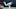 DraftKings DraftKings