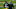 GREEN BAY, WISCONSIN – SEPTEMBER 20: Davante Adams #17 of the Green Bay Packers walks across the field after beating the Detroit Lions 42-21 at Lambeau Field on September 20, 2020 in Green Bay, Wisconsin. (Photo by Dylan Buell/Getty Images) GREEN BAY, WISCONSIN – SEPTEMBER 20: Davante Adams #17 of the Green Bay Packers walks across the field after beating the Detroit Lions 42-21 at Lambeau Field on September 20, 2020 in Green Bay, Wisconsin. (Photo by Dylan Buell/Getty Images)