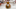 Texas Longhorns, Bevo Texas Longhorns, Bevo