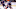 new york islanders, florida panthers, stanley cup playoffs