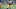 Notre Dame football Notre Dame football