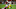 GLENDALE, ARIZONA – DECEMBER 08: Diontae Johnson #18 of the Pittsburgh Steelers runs with the ball while avoiding a tackle by Joe Walker #59 of the Arizona Cardinals during the first half at State Farm Stadium on December 08, 2019 in Glendale, Arizona. (Photo by Norm Hall/Getty Images) GLENDALE, ARIZONA – DECEMBER 08: Diontae Johnson #18 of the Pittsburgh Steelers runs with the ball while avoiding a tackle by Joe Walker #59 of the Arizona Cardinals during the first half at State Farm Stadium on December 08, 2019 in Glendale, Arizona. (Photo by Norm Hall/Getty Images)