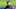 SCOTTSDALE, AZ – FEBRUARY 28: Colorado Rockies manager Bud Black (10) heads on the field prior to the game against the Arizona Diamondbacks on February 28, 2018 at Salt River Fields at Talking Stick. (Photo by John Leyba/The Denver Post via Getty Images) SCOTTSDALE, AZ – FEBRUARY 28: Colorado Rockies manager Bud Black (10) heads on the field prior to the game against the Arizona Diamondbacks on February 28, 2018 at Salt River Fields at Talking Stick. (Photo by John Leyba/The Denver Post via Getty Images)
