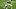 Green Bay Packers Green Bay Packers