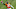 Fantasy Football Fantasy Football