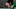 Dallas Stars Dallas Stars