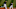 MLB Postseason MLB Postseason