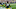 Josh Jackson, Green Bay Packers Josh Jackson, Green Bay Packers