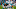 MIAMI, FL – AUGUST 08: Miami Dolphins offensive line in formation during a preseason game against the Atlanta Falcons at Hard Rock Stadium on August 8, 2019 in Miami, Florida. (Photo by Mark Brown/Getty Images)