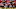 chicago bears deonte thompson